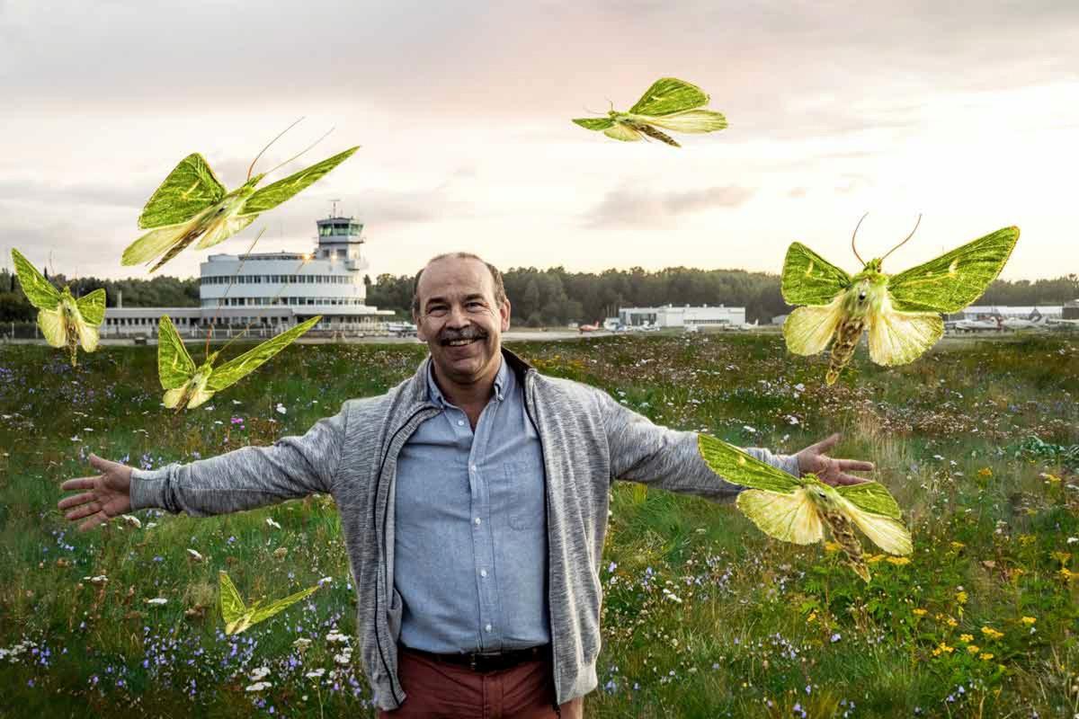 Malmin lentokenttäalueen niittyalueella elää lähes tuhat perhoslajia. Kuva: Maija Saari / Aatos Ehn